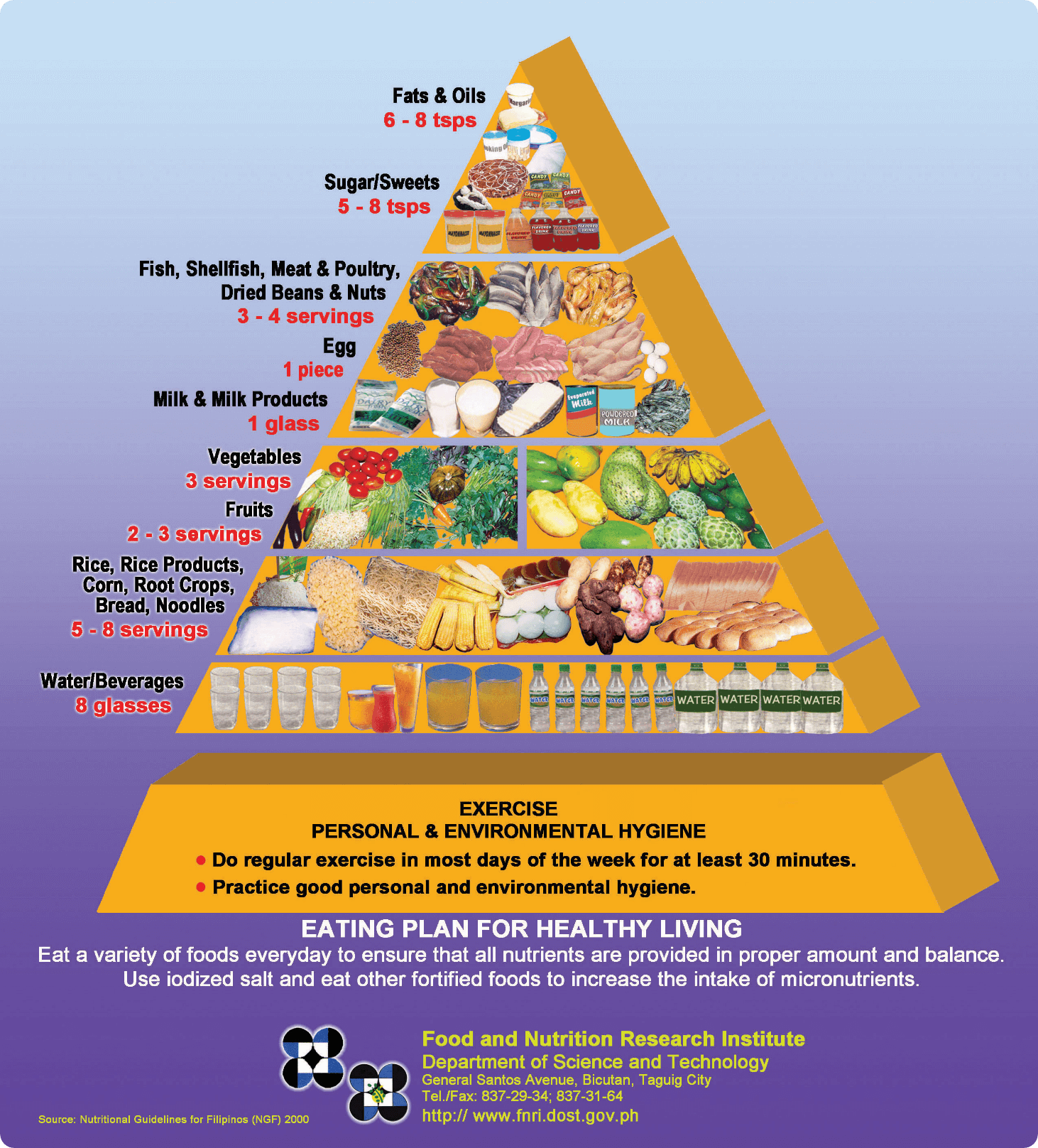 Figure 3. Daily nutritional guide pyramid for Filipino adults aged 20-39 years old (DOST-FNRI, n.d.)