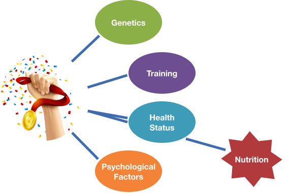 FIGURE 2. Determinants of an Athlete’s Performance