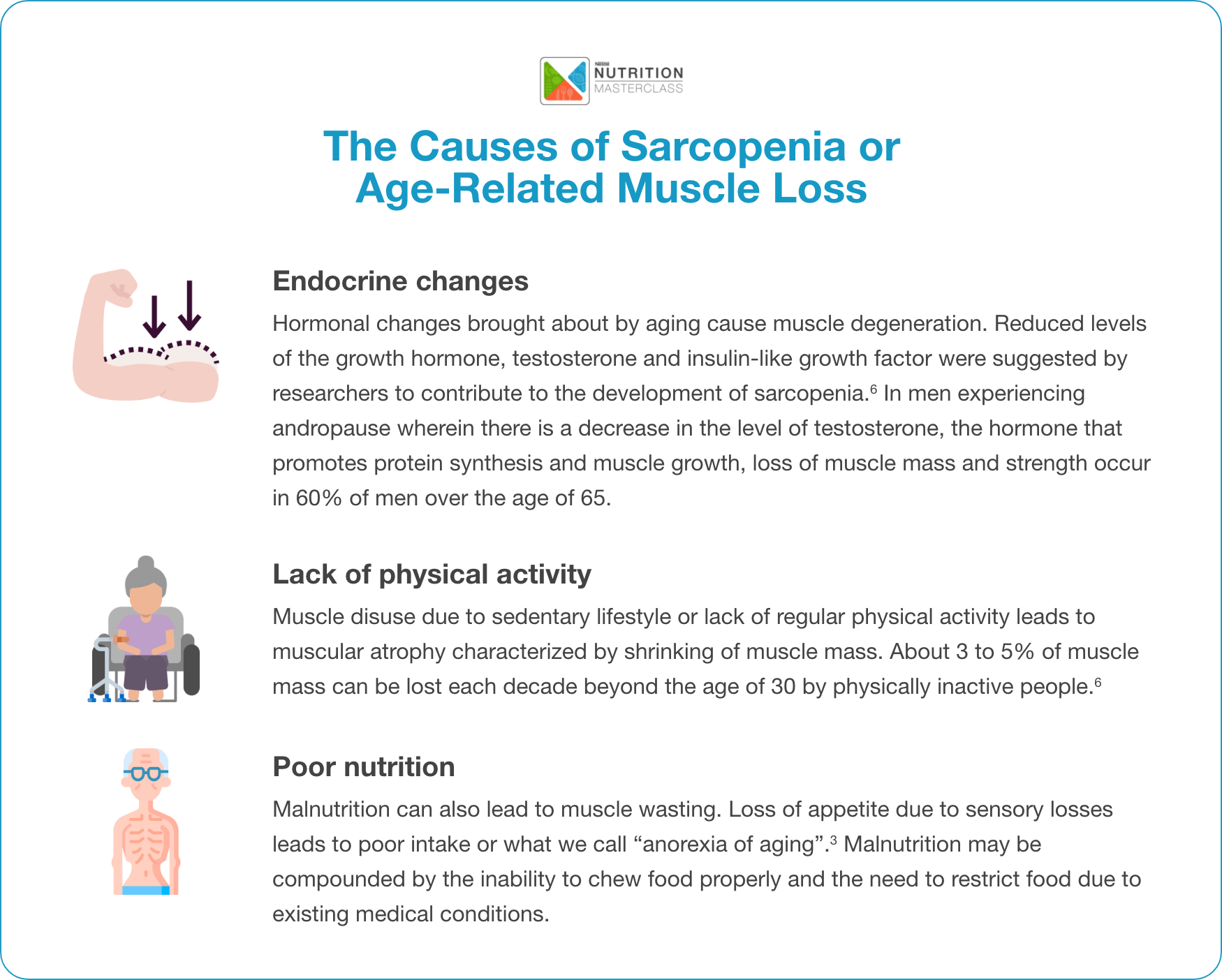 What really causes sarcopenia or age-related muscle loss.png