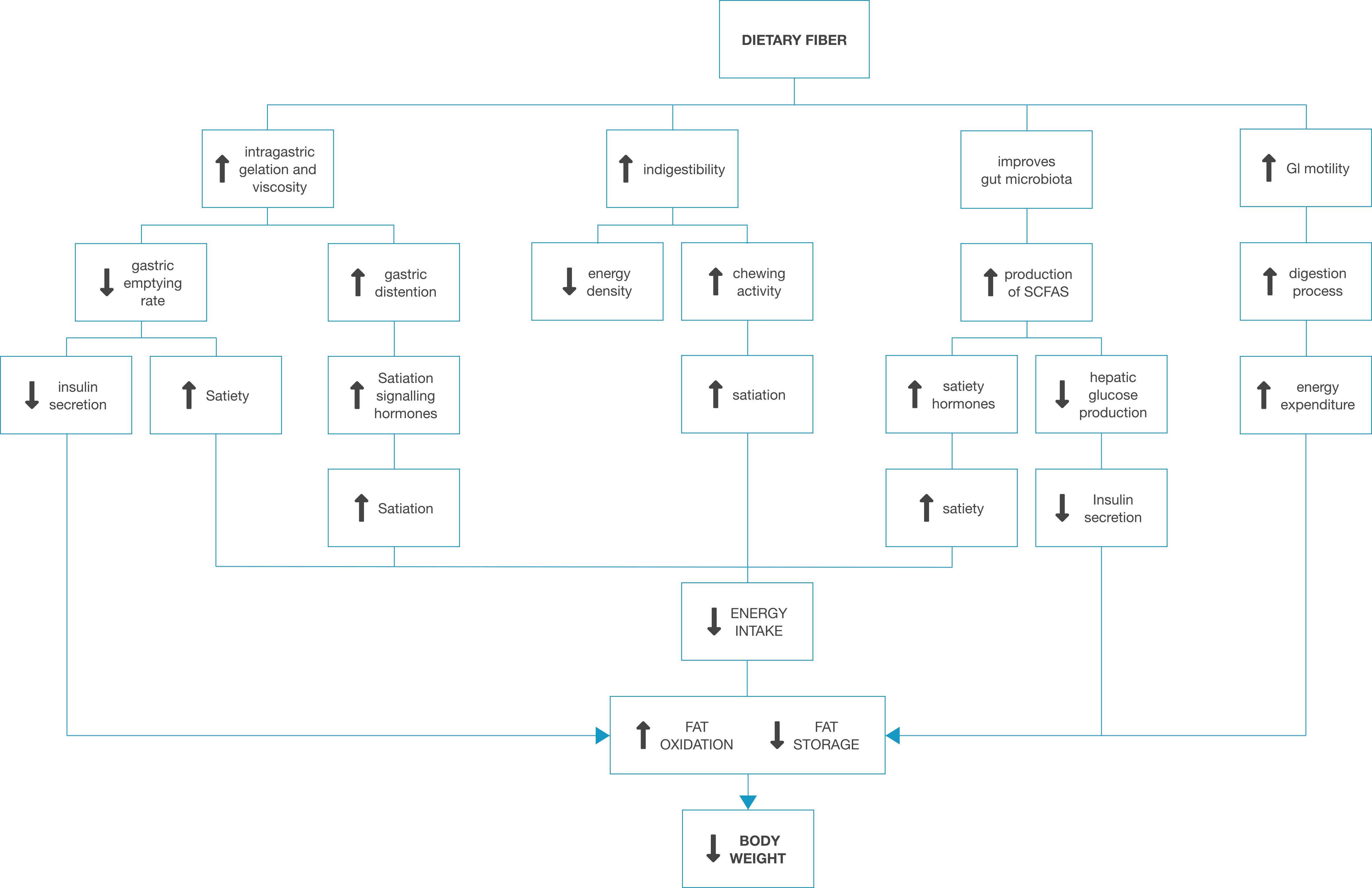 Fiber Table 1