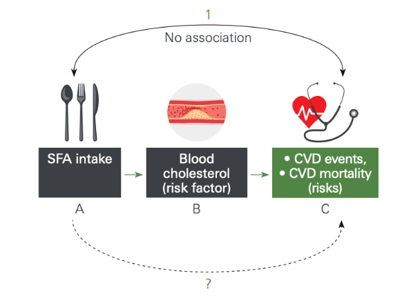 FIGURE 2. Saturated fatty acids and cardiovascular diseases