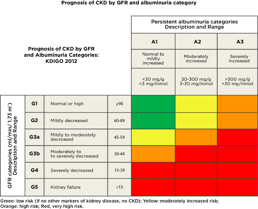 Renal diet