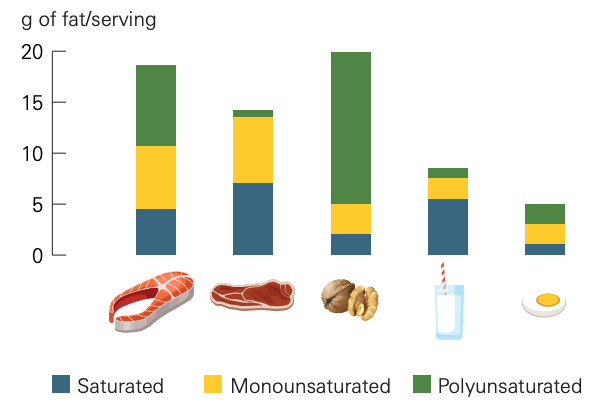 FIGURE 4. Fatty acid content of common fat sources