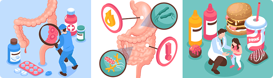  The Gut Microbiota and the Benefits of Good Gut Health